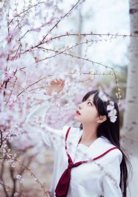 《绝世天劫》在线观看_DVD最新电影在线观看